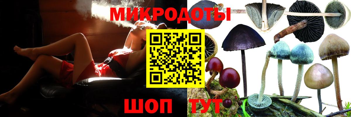 Галлюциногенные грибы мицелий Сосновый Бор