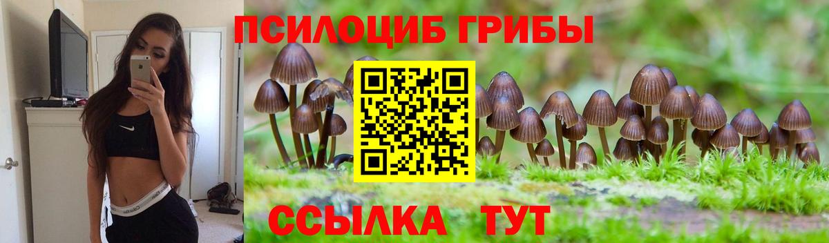 Сосновый Бор  Галлюциногенные грибы GOLDEN TEACHER  Галлюциногенные грибы MAGIC MUSHROOMS  Вход с VPN 